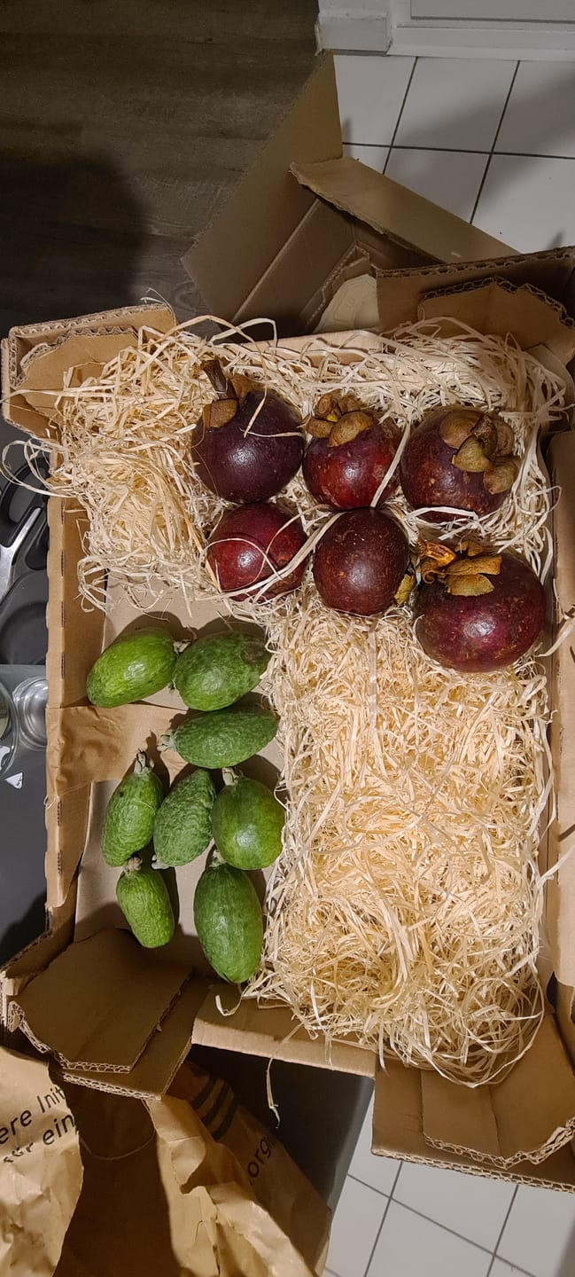 Customer photo review of Mangostan Aktionsbox % 1,25kg