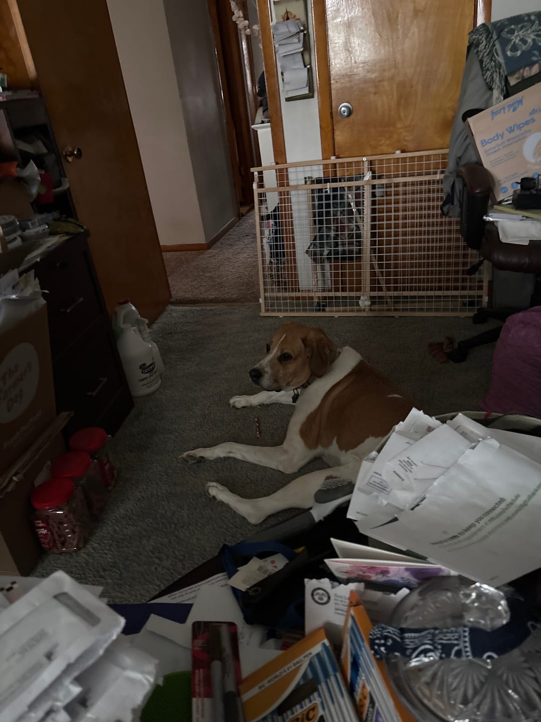 Customer photo review of Small Bully Stick Ring
