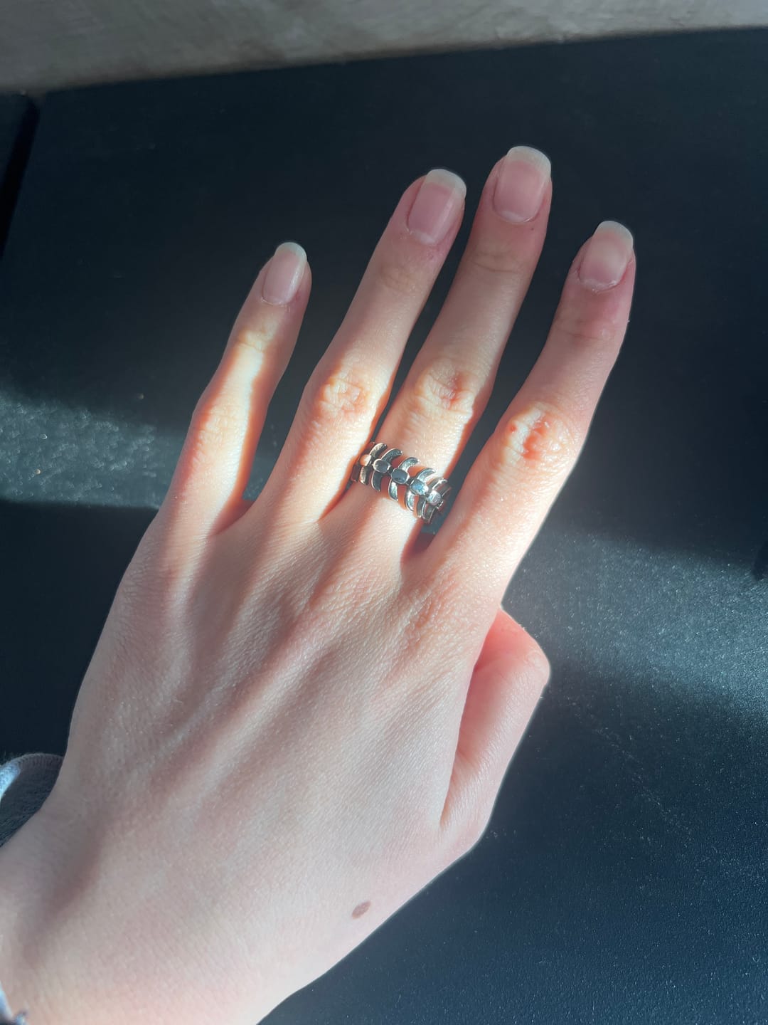 Customer photo review of STEEL SPINE.