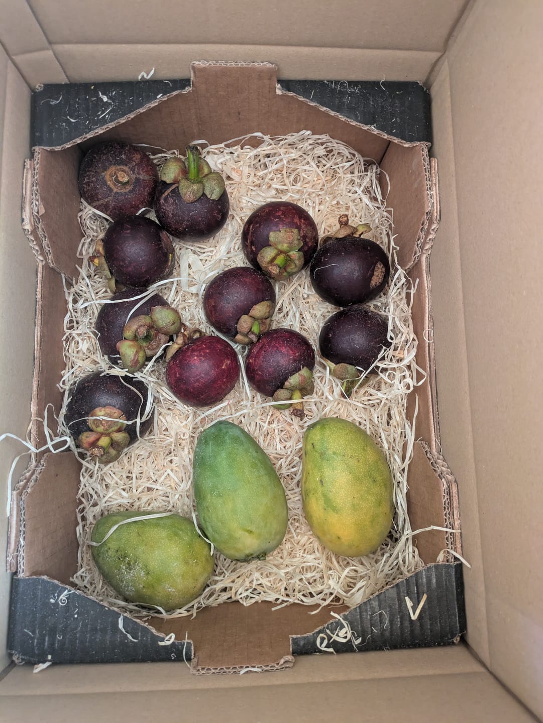 Customer photo review of Mango Honig „Ataulfo“ Bio von Joe Roman baumgereifte Flugware