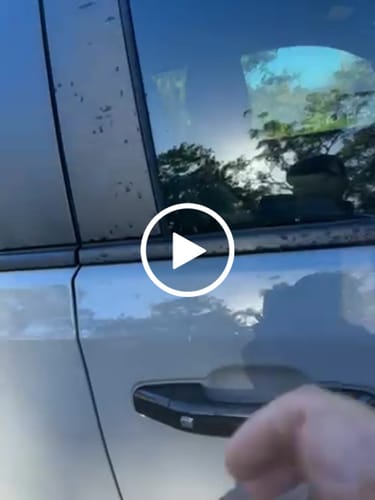 Customer video review of Waterproof Car Towel Seat Cover