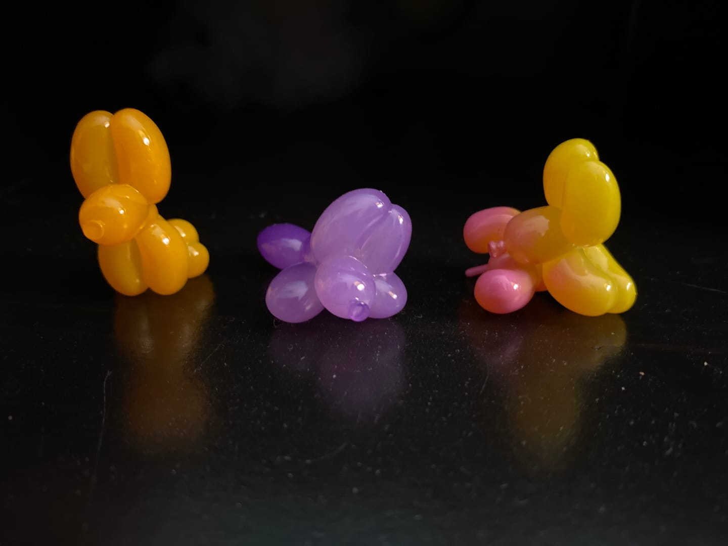 Customer photo review of Happy Balloon Dog Series Mini Blind Box