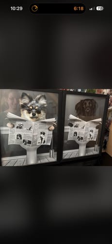 Ein Kunde zeigt zwei personalisierte „Wichtige Sitzung“-Poster, die gerahmt nebeneinander in einem Badezimmer hängen.