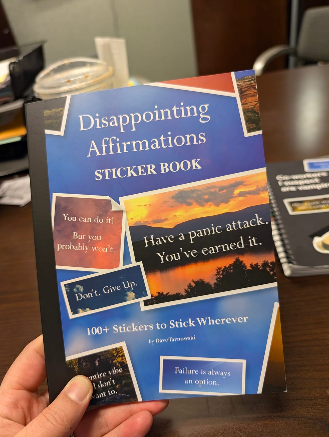 Customer photo review of Disappointing Affirmations Sticker Book - Includes 100 stickers