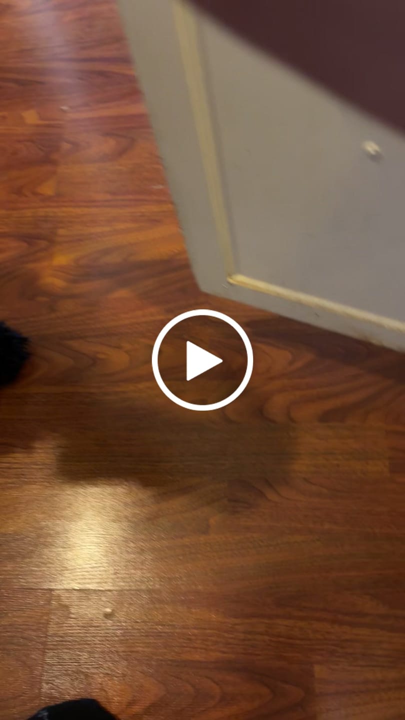 Customer video review of Chicken Feet, Cold Smoked