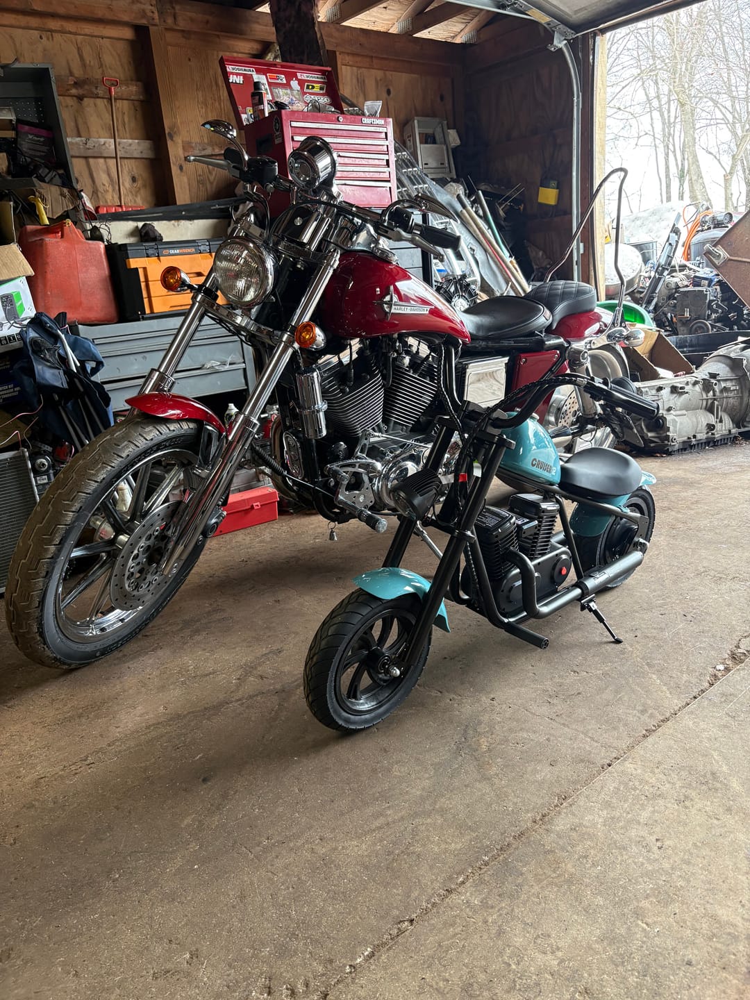 Customer photo review of Cruiser 12