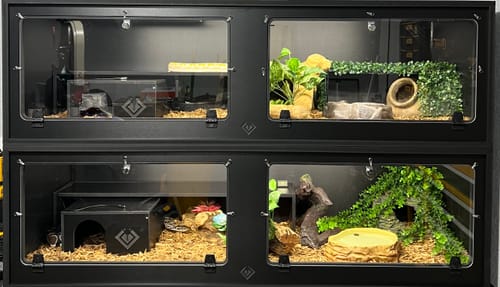 Customer photo review of BlackBox Hides Large 12x12x6"