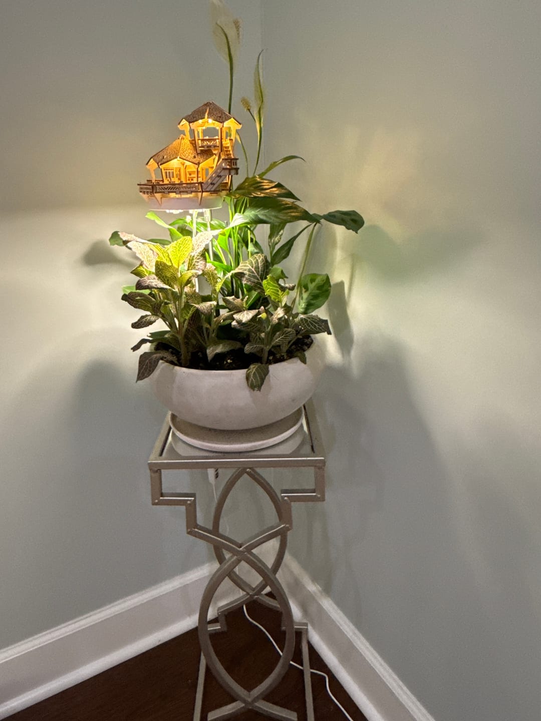 Customer photo review of Island Cabana + Grow Light