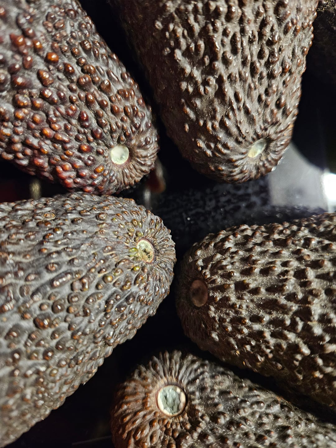 Customer photo review of Avocado & Orangen Bio Sizilien 4kg Box Aktionspreis %