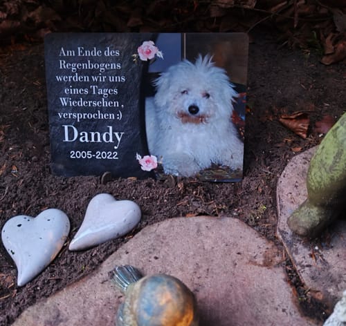 Customer photo review of Hunde-Türschild personalisiert mit Foto & Text (UV- und wetterfest)