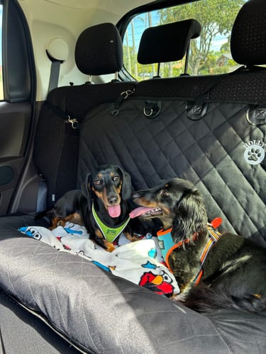 Customer photo review of Car Seat Cover