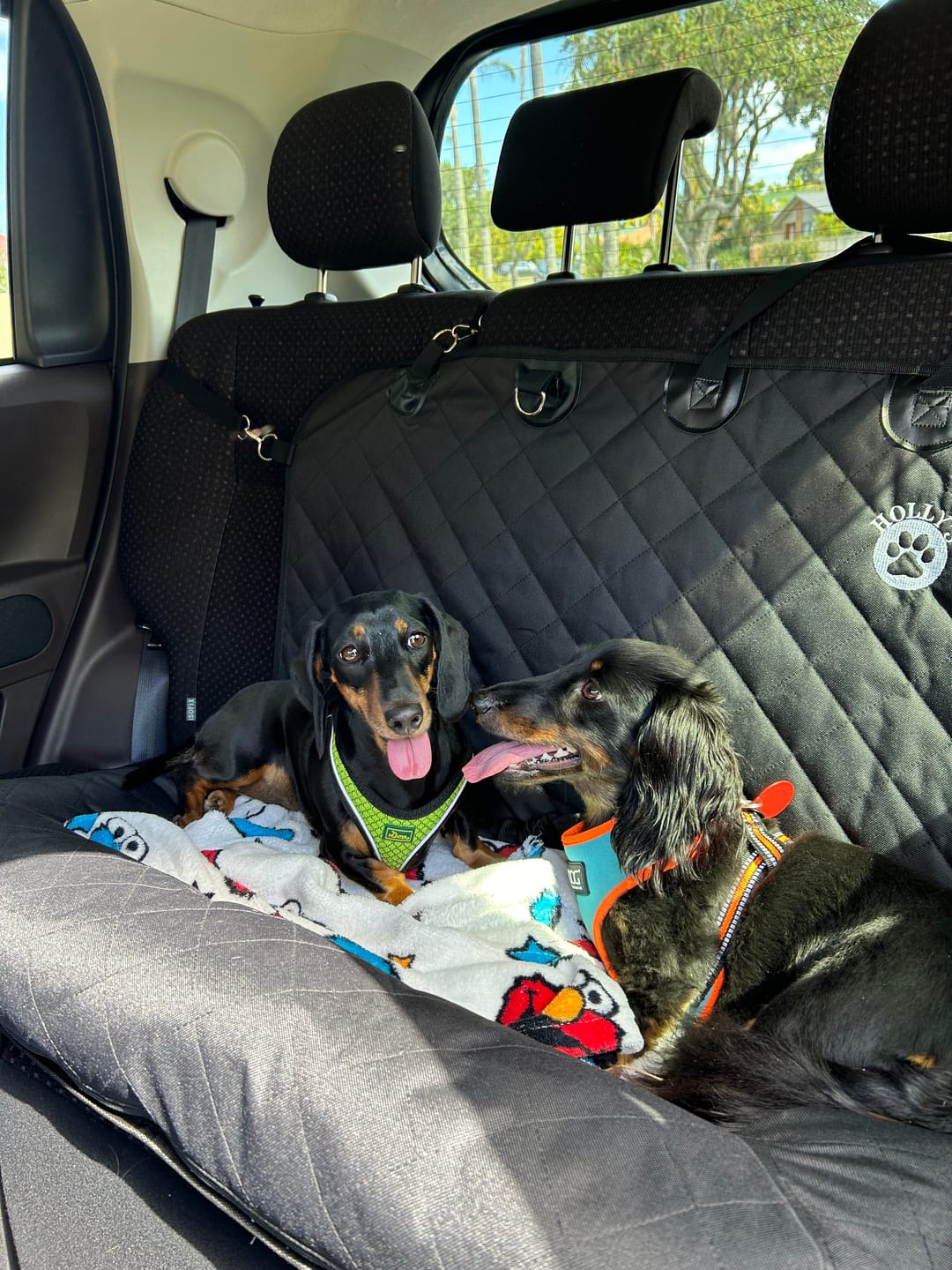 Customer photo review of Car Seat Cover