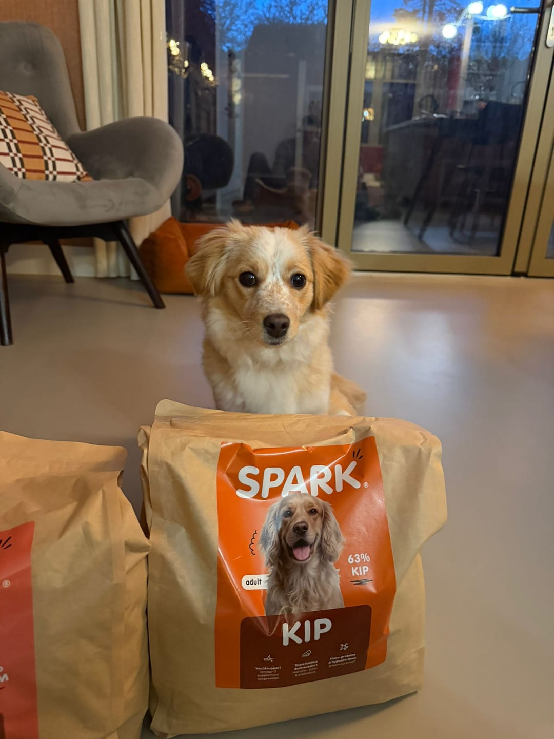 Customer photo review of V2.0 - Volwassen - Kip met Zoete Aardappel