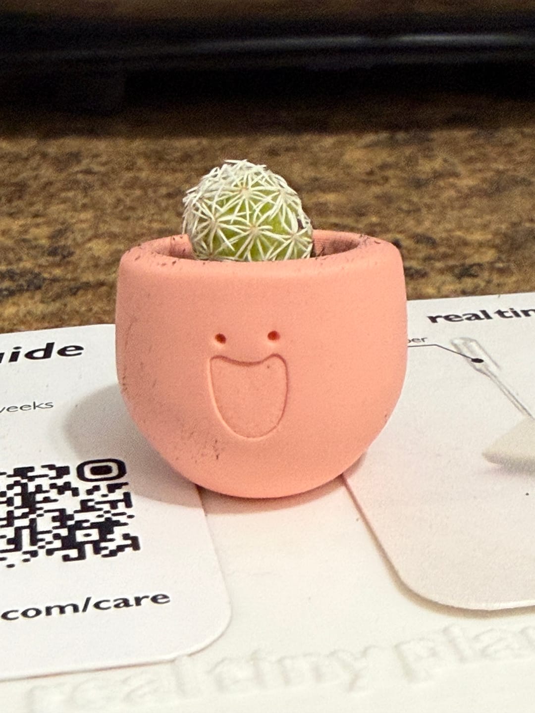 Customer photo review of LOL