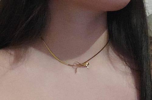 Customer photo review of Collar Coquette