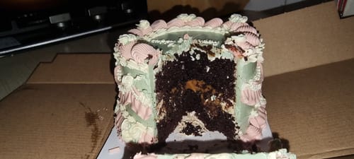 Customer photo review of mia mini cake