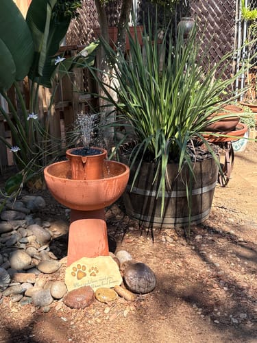 Customer photo review of Alba Cordless Fountain