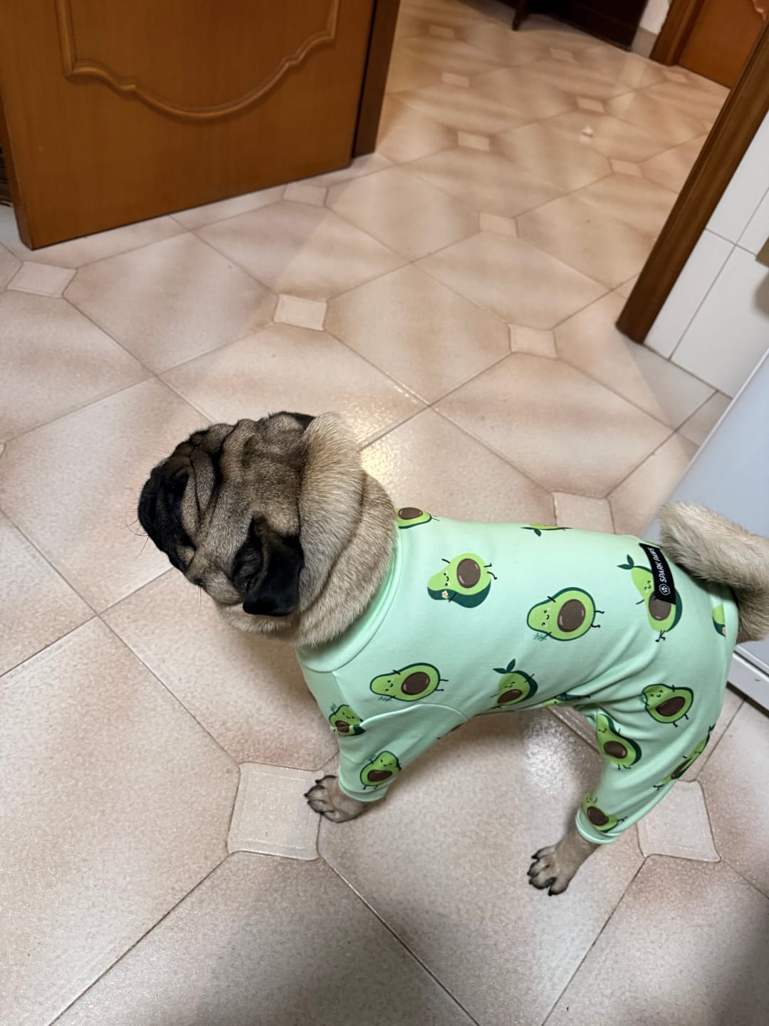 Customer photo review of Dog Pajama - Panda