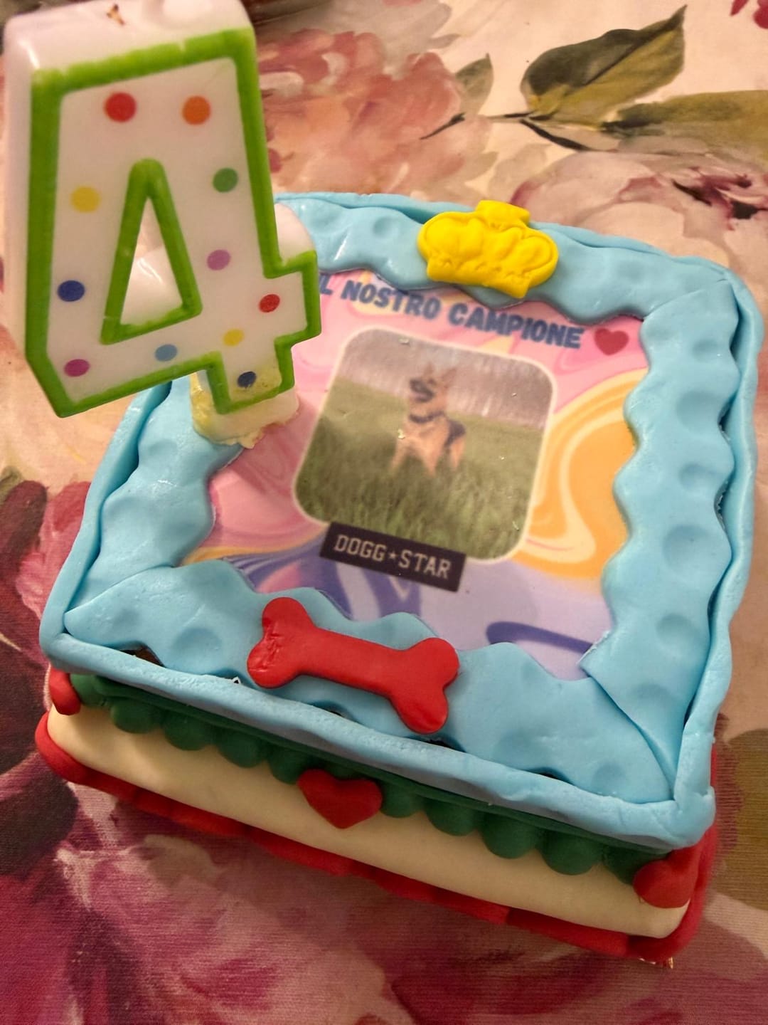 Customer photo review of Incanto per Lui Personalizzabile CON FOTO, Torta Per Cani Superiore