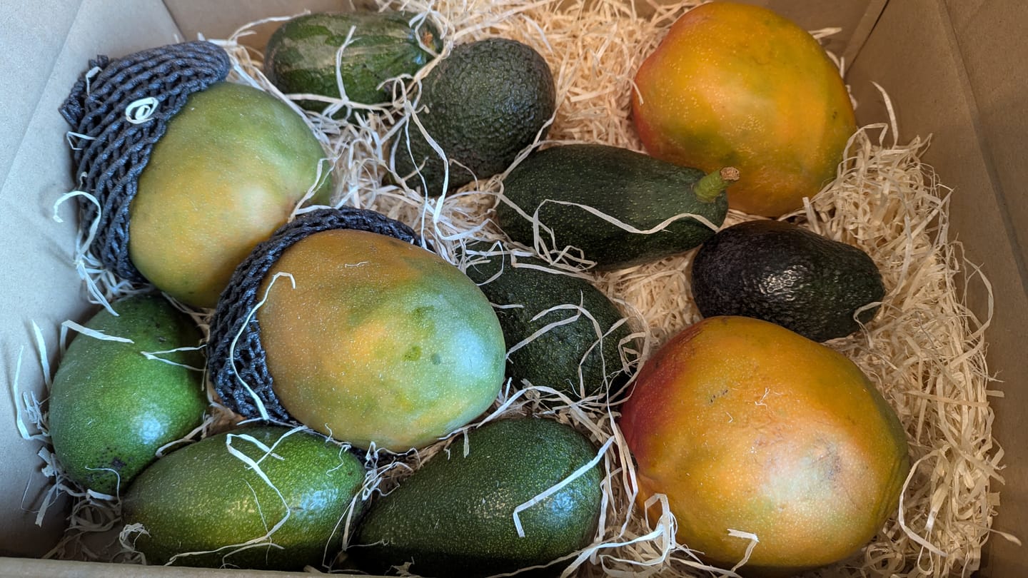 Customer photo review of Mango-Avocado Bio Box Aktionspreis % 4kg