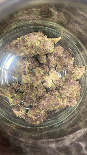 Customer photo review of Tropicana Cherry THCA Flower
