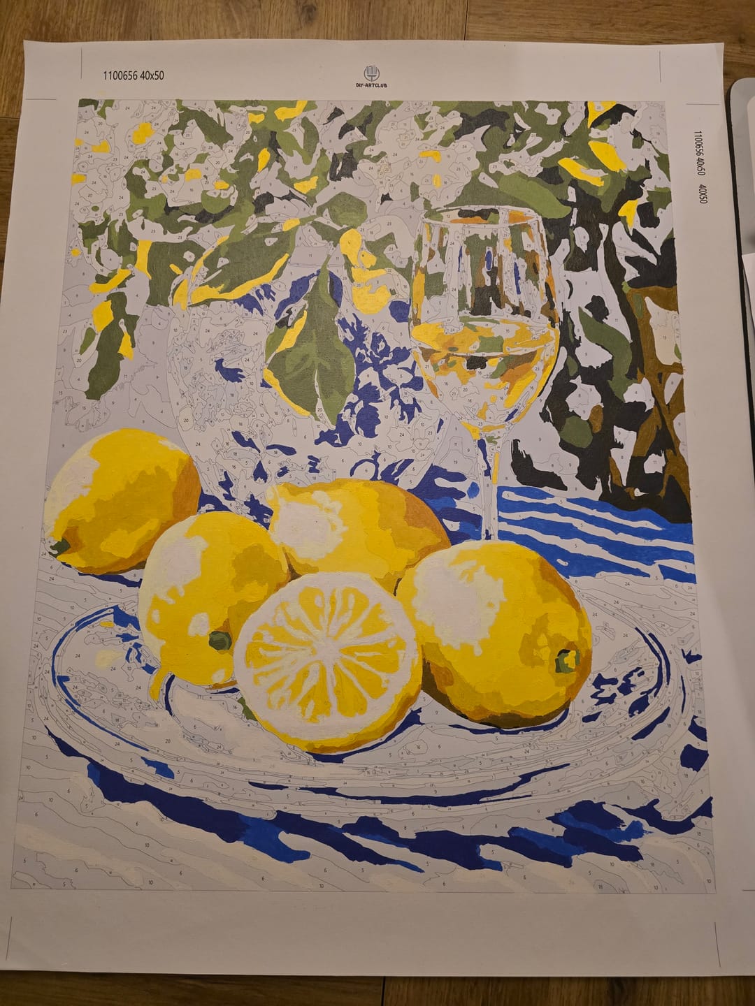 Customer photo review of Lemons and Wine | Paint by Numbers