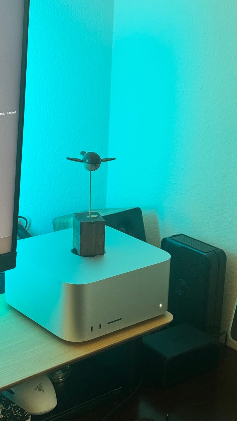 Customer photo review of MarinerPoet™ Handcrafted Walnut Bird Automaton