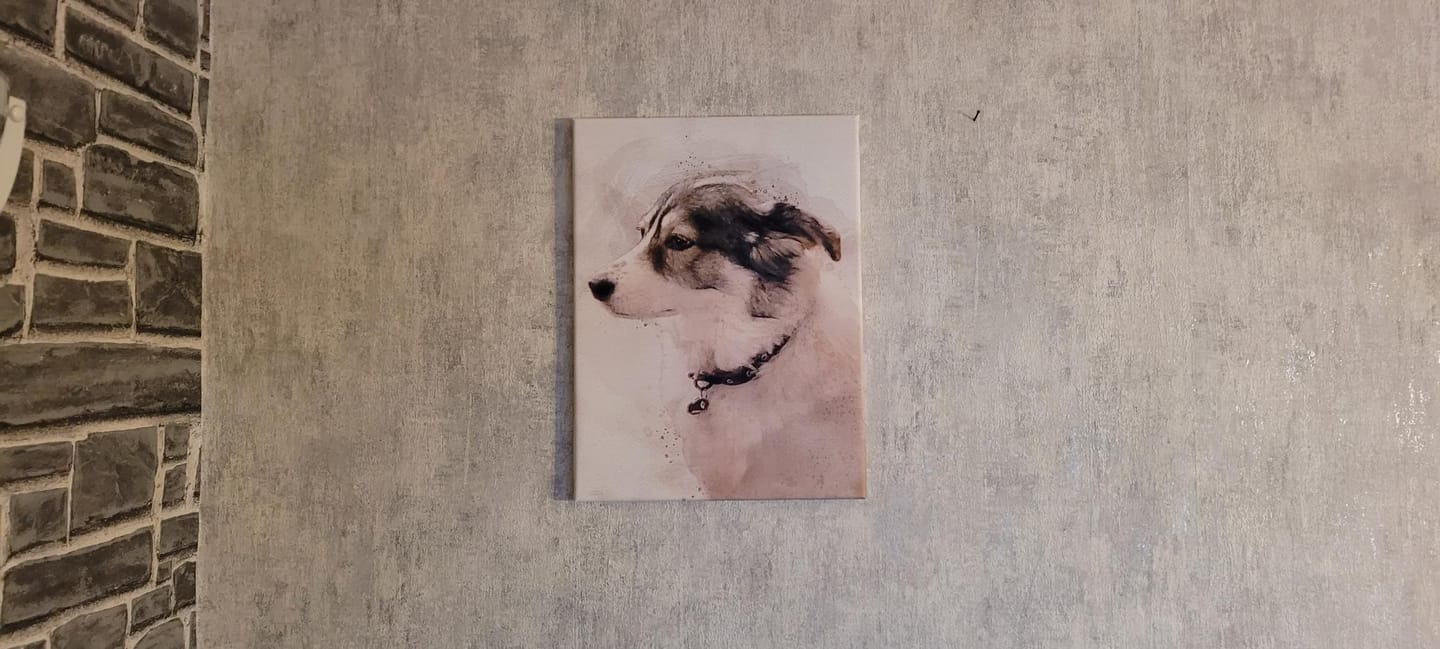 Customer photo review of Hundeportrait nach Foto