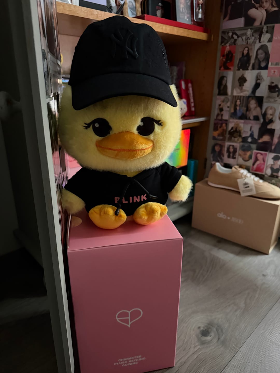 Customer photo review of BLACKPINK [DEADLINE Pop Up] Character Plush Doll