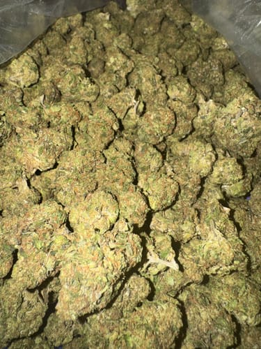 Customer photo review of Light Assist THCA Flower