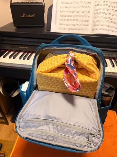 Customer photo review of The Underseat 15L