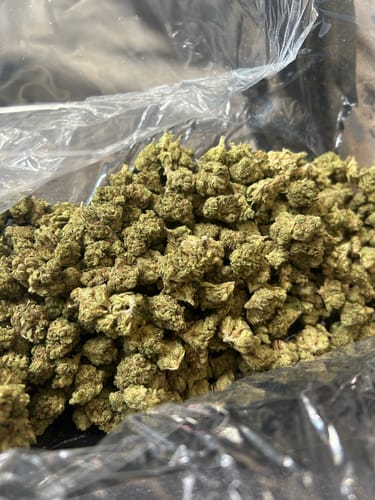 Customer photo review of Galactic Runtz Minis - Bulk Minis - Indica