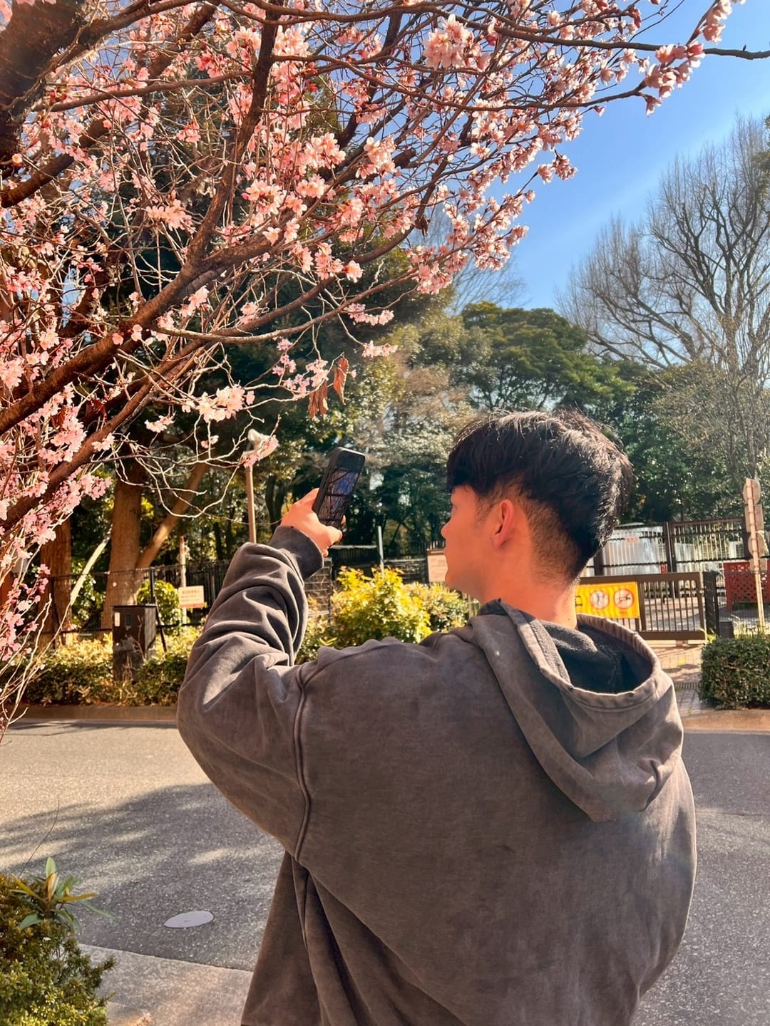 Customer photo review of 5096 - Elevated Essentials - Pullover Hoodies