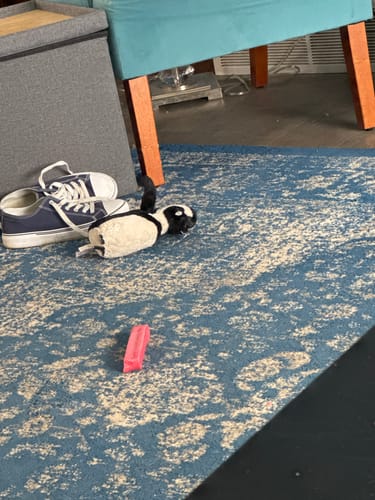 Customer's pink Strawberry Yak Chew lying on a blue patterned rug.