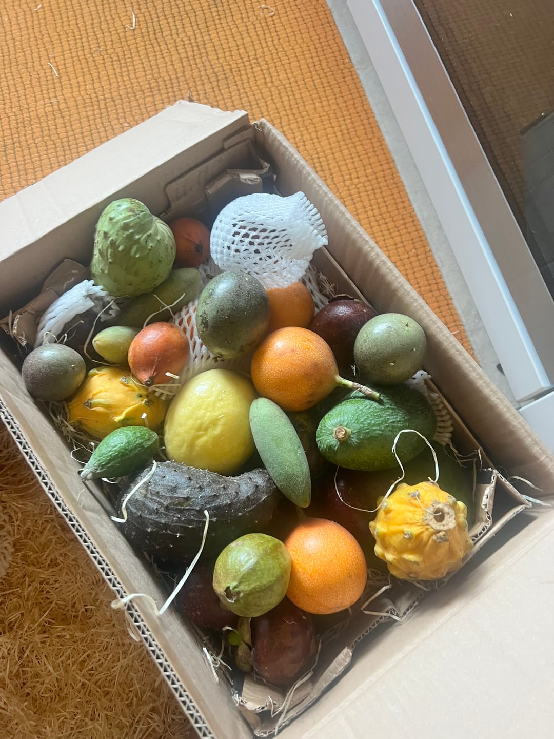 Customer photo review of Tropenreise Südamerika Box