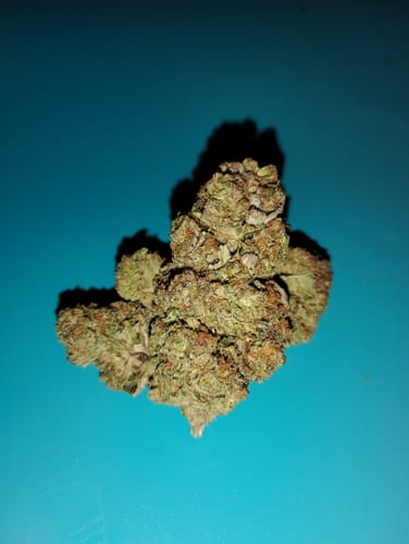 Customer photo review of Black Cherry Gelato | THCA Flower