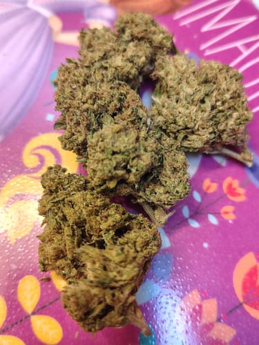 Customer photo review of Glue Train THCA Flower