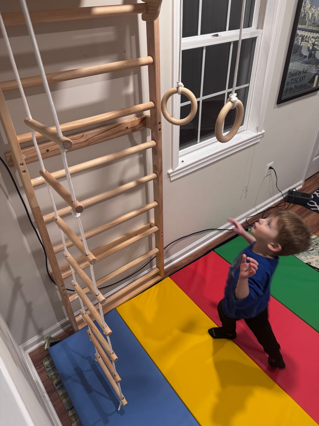 Customer photo review of Betula | Swedish Wall Ladder - 79" Height