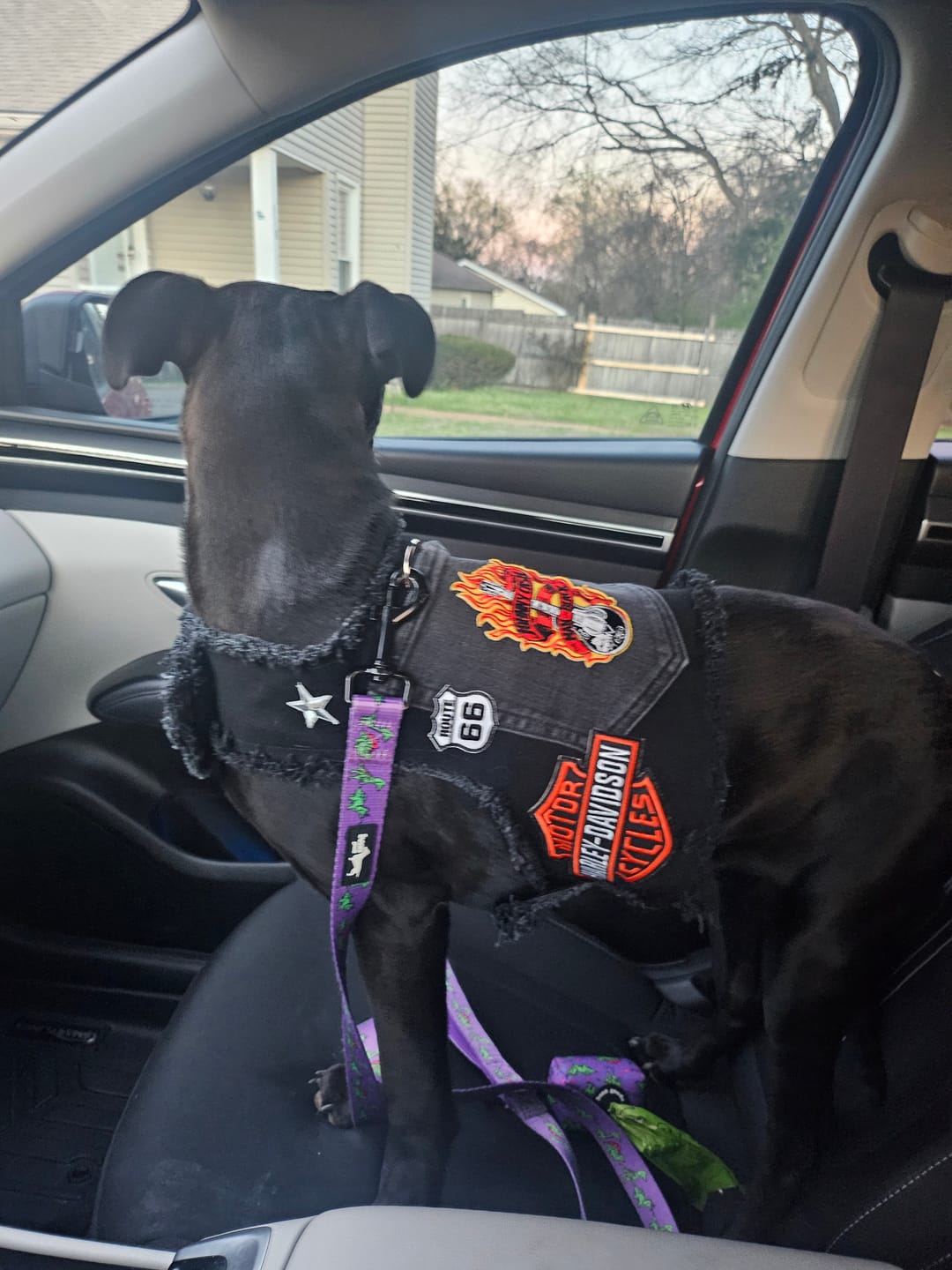 Customer photo review of Harley Patch (3 design options)