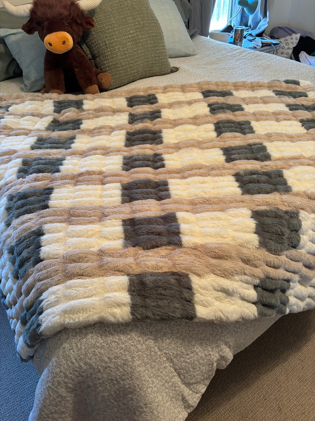 Customer photo review of Cozy Harvest