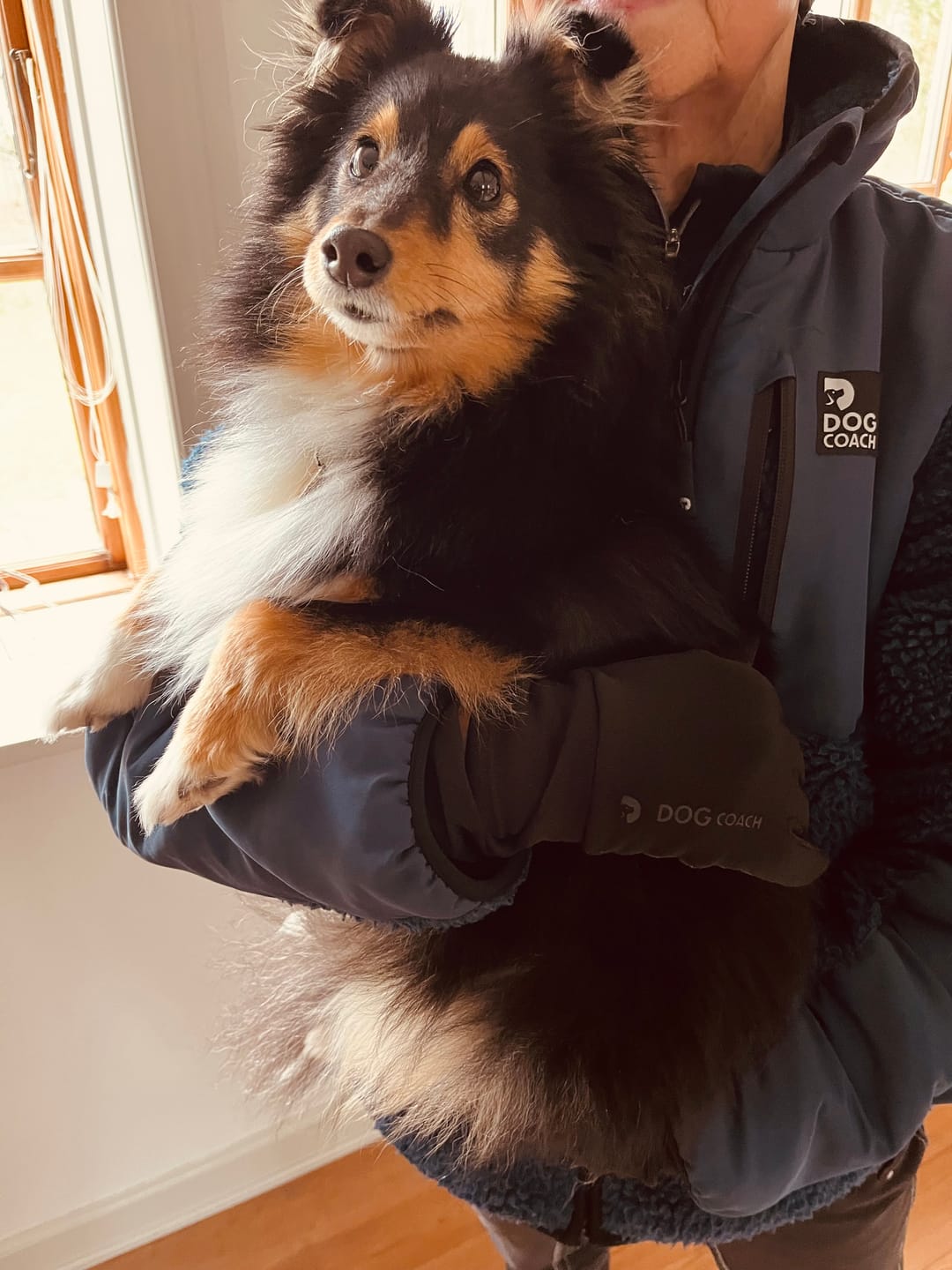 Customer photo review of DogCoach Allround Godbidshandsker | Unisex | Sort | Miley