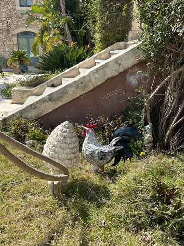 Customer photo review of Gallo Decorativo in Ferro Bicolore – H45 x L50 x P20 cm