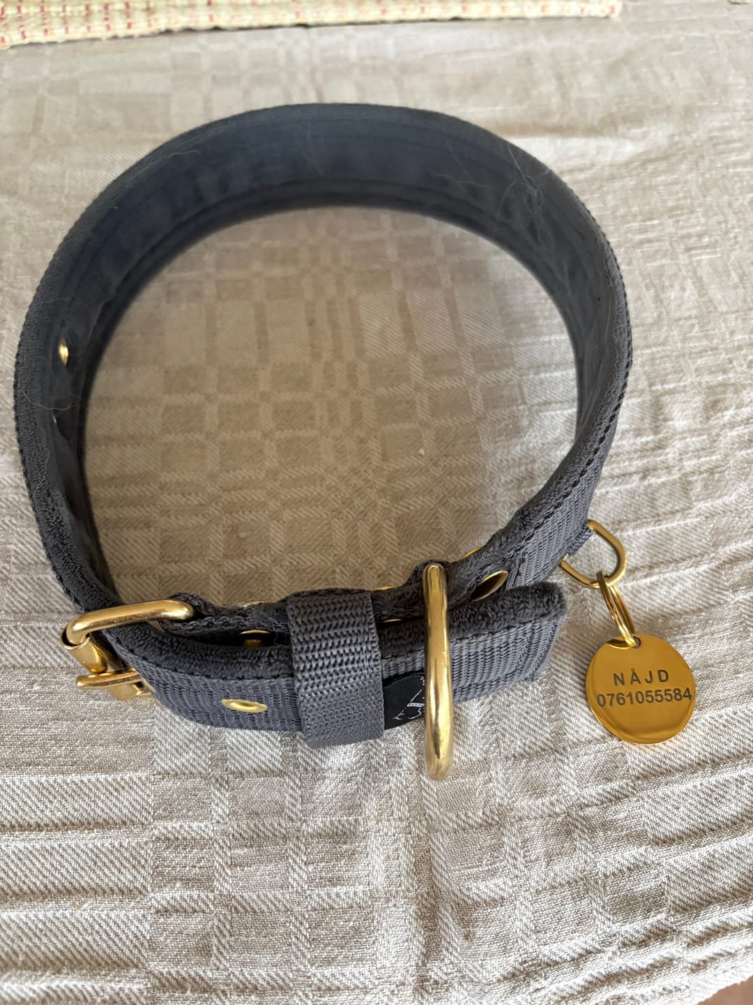 Customer photo review of Active Golden Dark Grey - Brett slitstarkt halsband med spänne