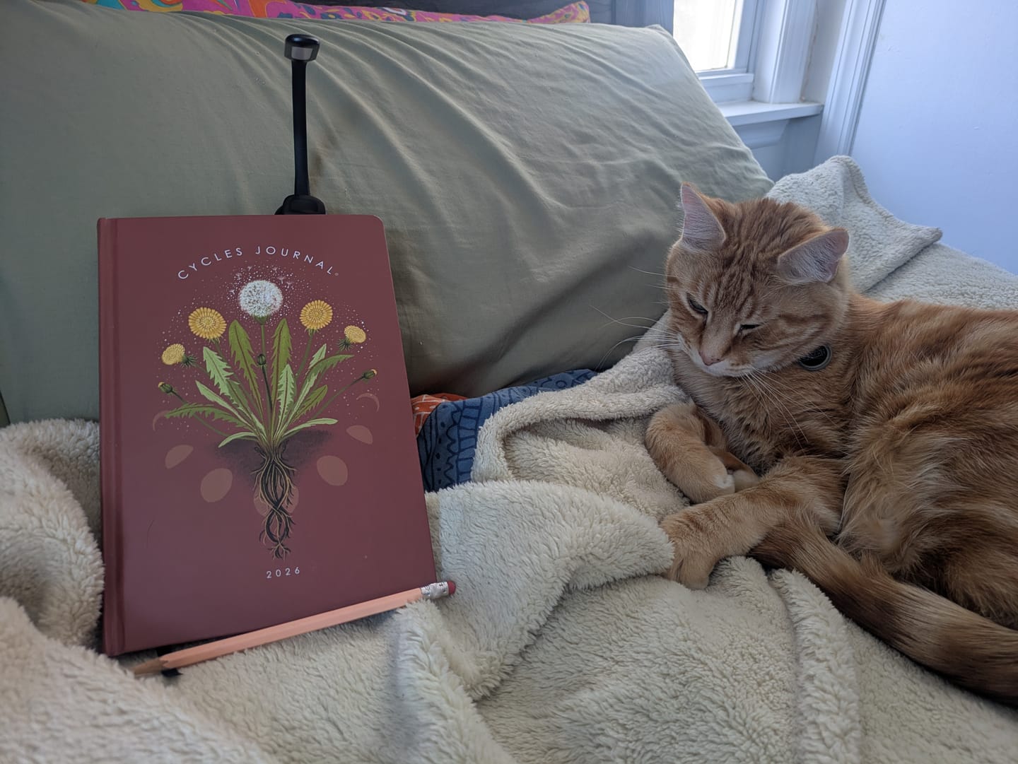 Customer photo review of Cycles Journal® 2026: Your Offline Moon Cycle Tracker & Planner for Whole-Body Awareness – mental, menstrual, menopausal &/or horomonal health
