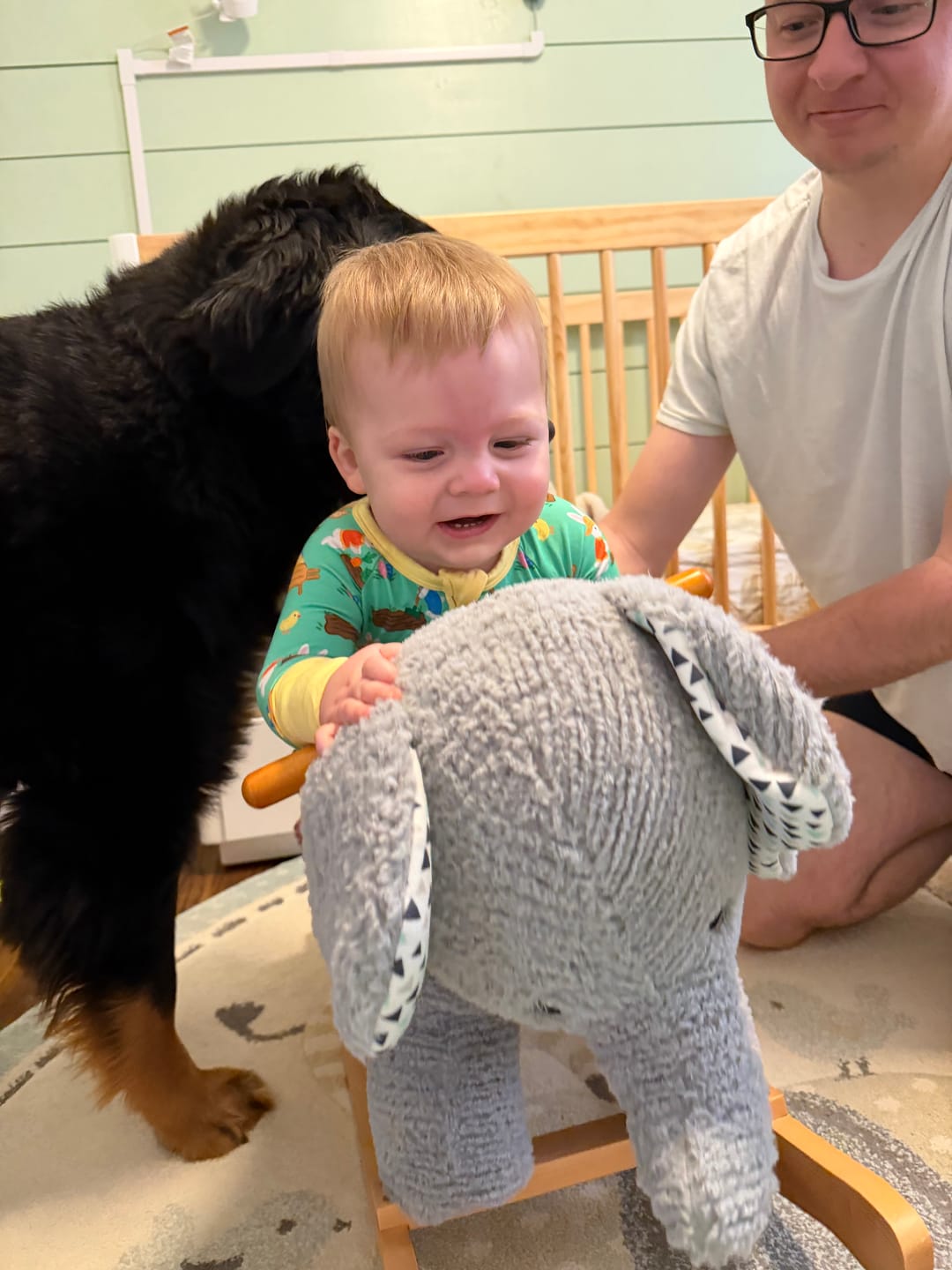 Customer photo review of Easter (Cotton Tail Cutie) Zippy