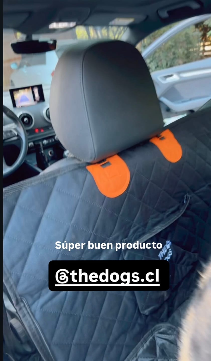 Customer photo review of Funda Impermeable THE DOGS — Auto limpio, perro seguro