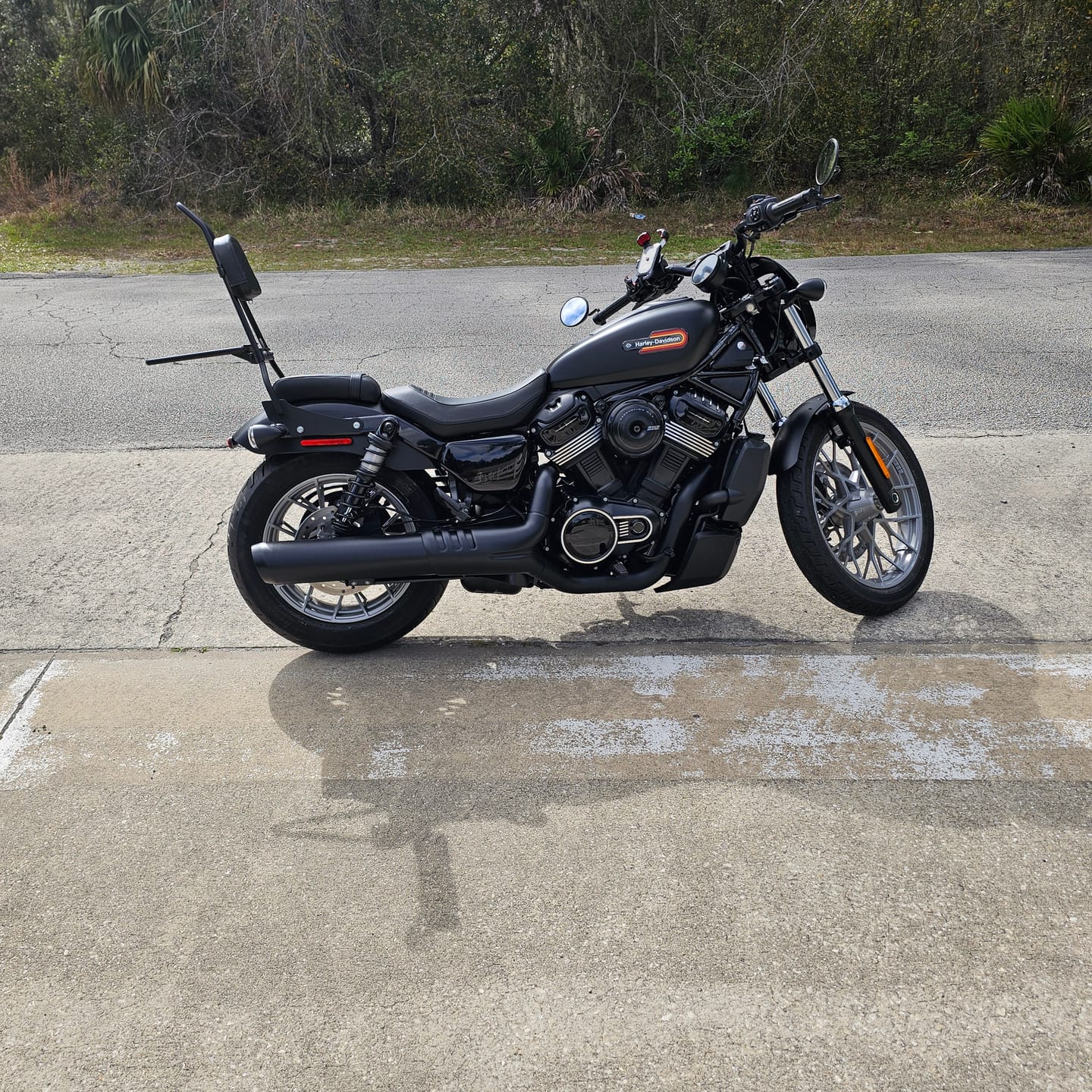 Customer photo review of Iron Born Blade 25" Sissy Bar with Foldable Luggage Rack for Harley Sportster Nightster RH975/S Matte Black