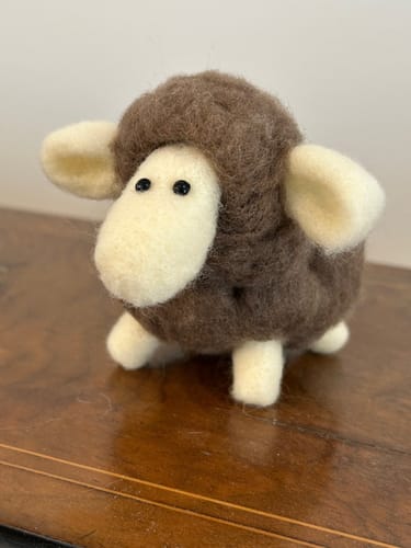 Customer photo review of Brown Sheep Mini Needle Felting Kit