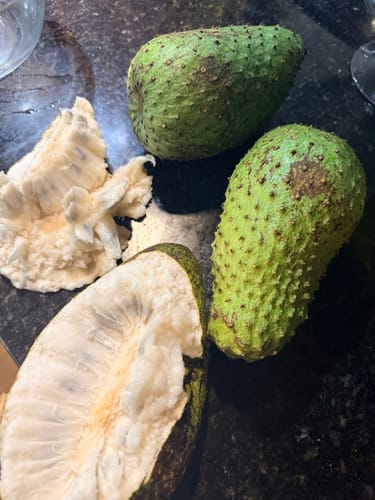 Customer photo review of Soursop