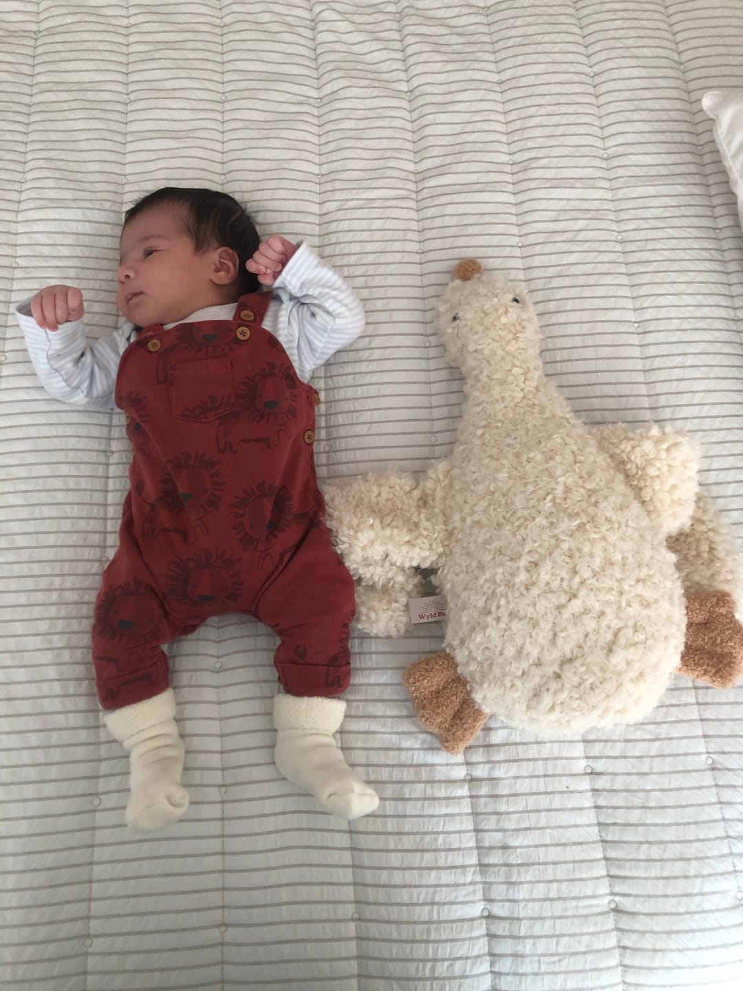 Customer photo review of Handmade Cuddle Duck